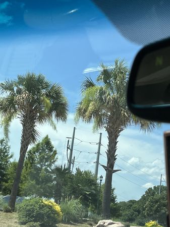 Florida background