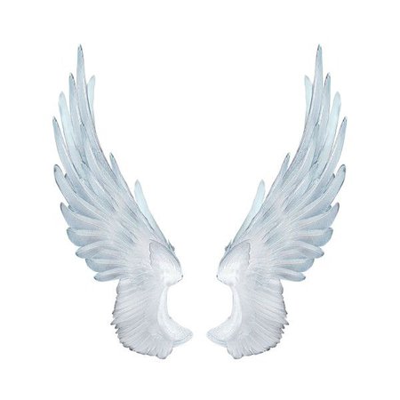 angel wings filler