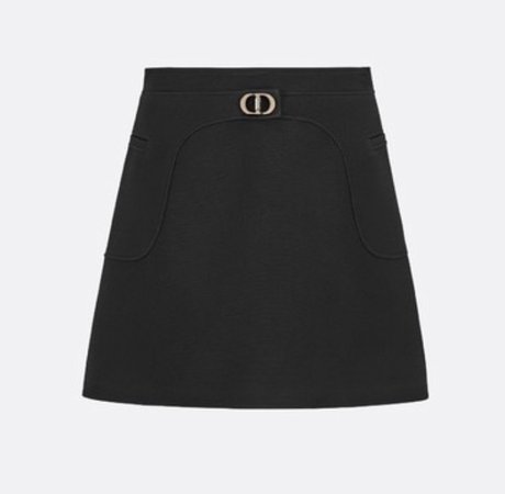 Dior Skirt