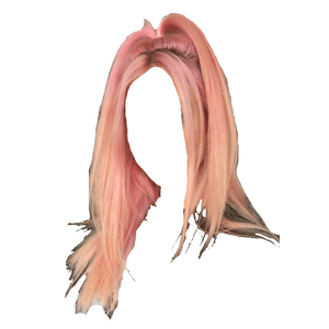 pink hair png half up