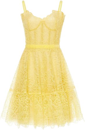 Costarellos Gossamer Lace Bustier Mini Dress With Flounce Hem Size: 36