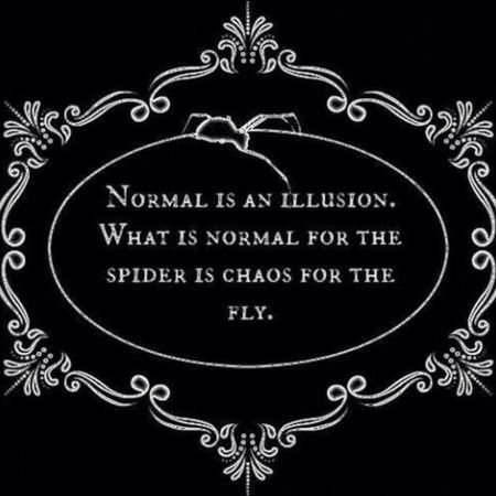 Chaos for the fly Mortitia Addams quote