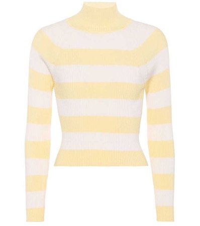 Whitewave striped ribbed top