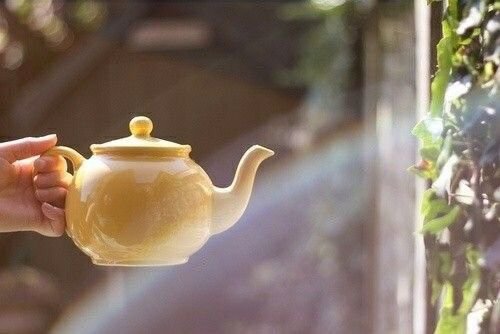 flower tea yellow aesthetic