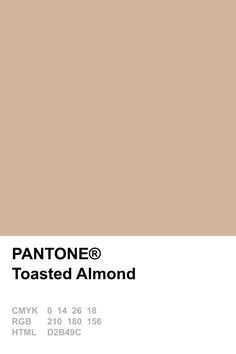 PANTONE 11-0110 TCX Buttercream #pantone #color | Pantone colour palettes, Beige color palette, Pantone palette
