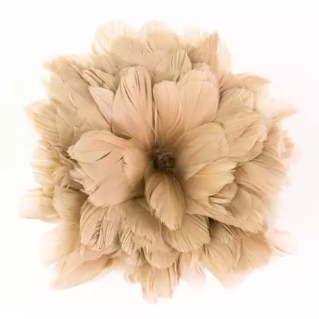 Goose Nagorie Dyed Feathers -Beige – featherplace.com by Zucker Feather Products, Inc.