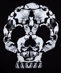 73affb06cdd16e9cf719a04e32717ea3--cat-skull-halloween-skull.jpg (236×282)