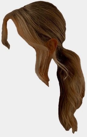 brown hair low ponytail