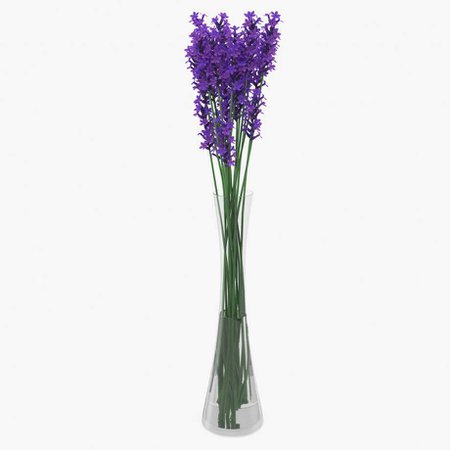 lavender in vase - Google Search