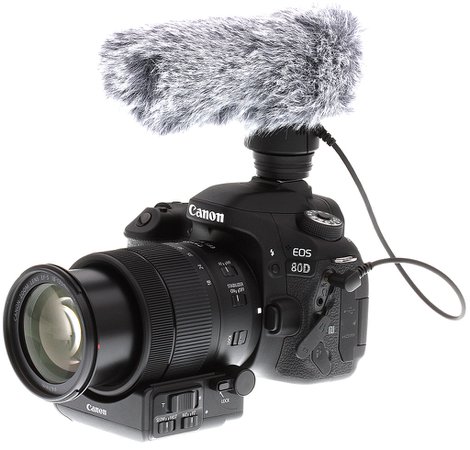 Canon EOS 80D with microphone - Google Search