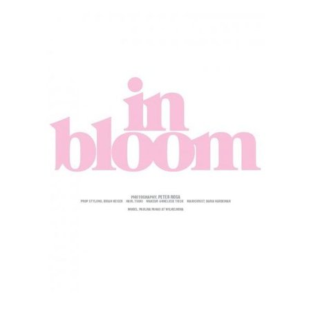 In Bloom text