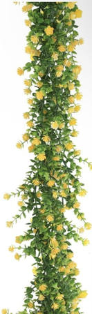 yellow flower vine
