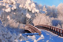 Winter scene stock image. Image of outdoor, details, cold - 62181843