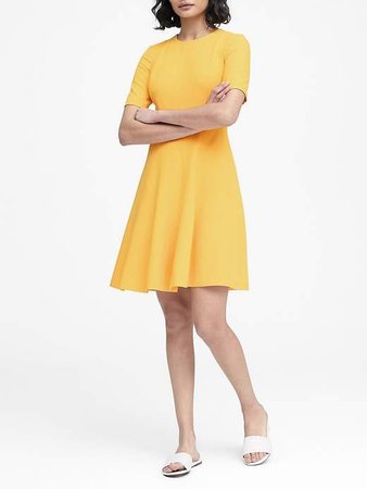 Paneled Fit-and-Flare Dress