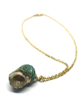 CYCLOPAEDIA Seashell Necklace