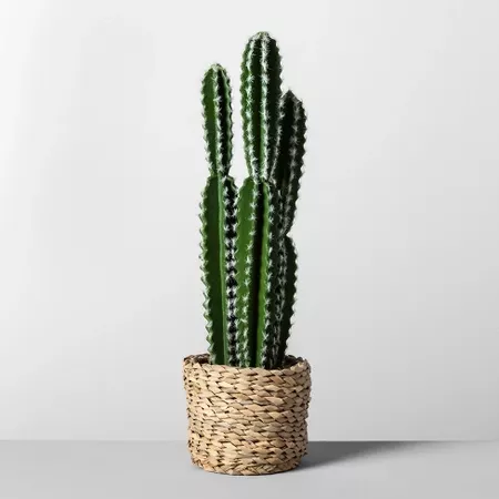 23" X 6.3" Artificial Cactus In Basket Green/Natural - Opalhouse™ : Target
