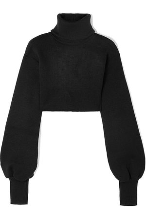 ORSEUND IRIS Cropped Ribbed-knit Turtleneck Sweater