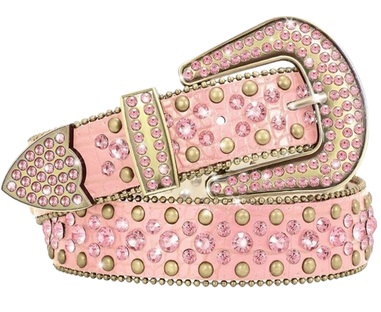 pink and gold belt