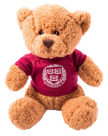 Harvard teddy.