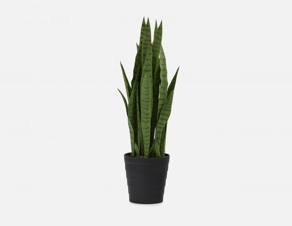 SNAKE PLANT Green artificial potted plant 94cm (37") | Str