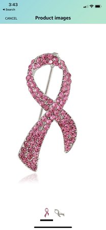 breast cancer brooch