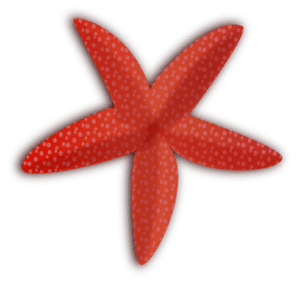 Cute Starfish PNG HD | PNG Mart
