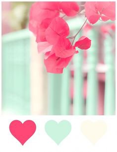 mint green and dark pink - Google Search