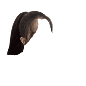 brown hair png ponytail bangs
