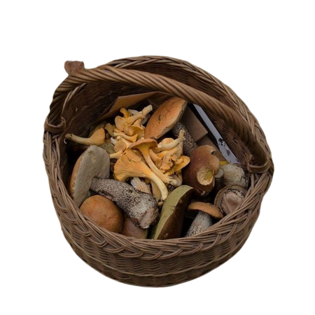 mushroom basket
