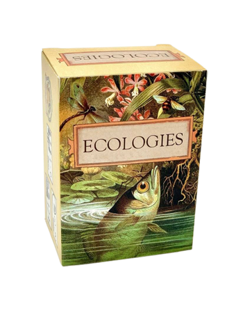 Ecologies game