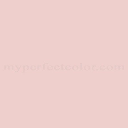 Ballet Pink Color Swatch