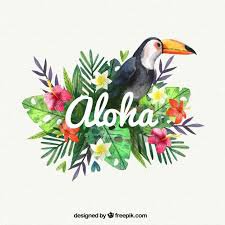 aloha - Google Search