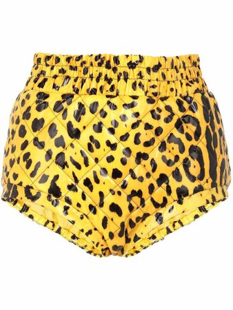 Dolce & Gabbana leopard-print mini shorts - FARFETCH