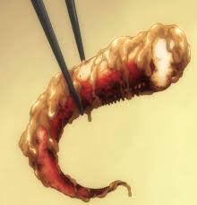 food wars squid and peanut butter - Google Search