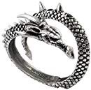 Amazon.com: Dragon's Lure Bangle Bracelet by Alchemy Gothic: Jewelry