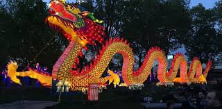 Chinese New Year - Google Search