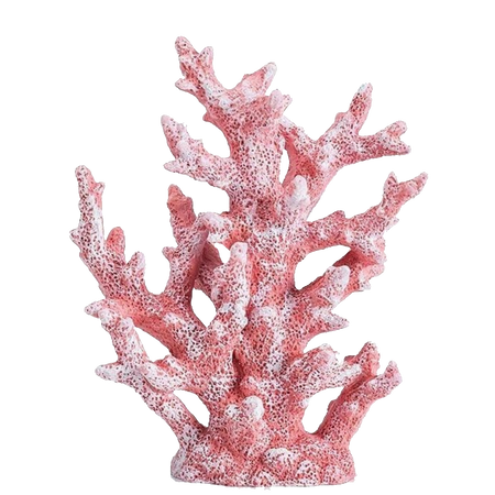 light pink coral
