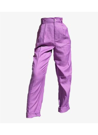 purple structured pant