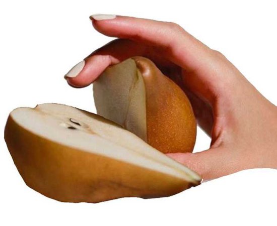 pear png