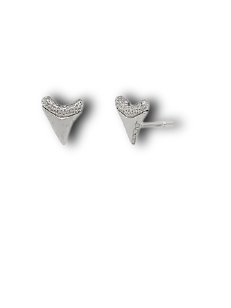 sterling silver shark tooth stud earrings jewelry