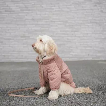SOHO - Packable Dog Coat | Dog Apparel – Lambwolf Collective