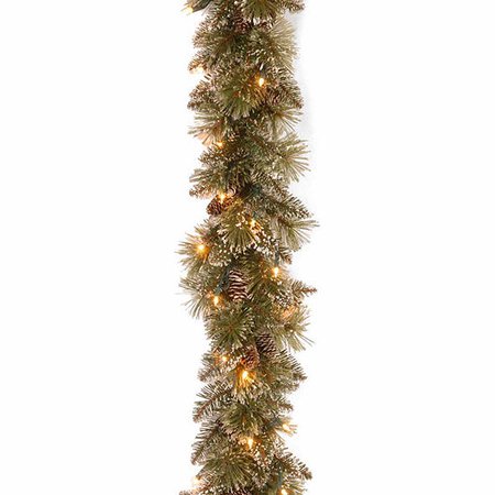 National Tree Co. 9' Glittery Bristle Pine Indoor/Outdoor Christmas Garland