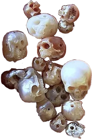 skull pearls