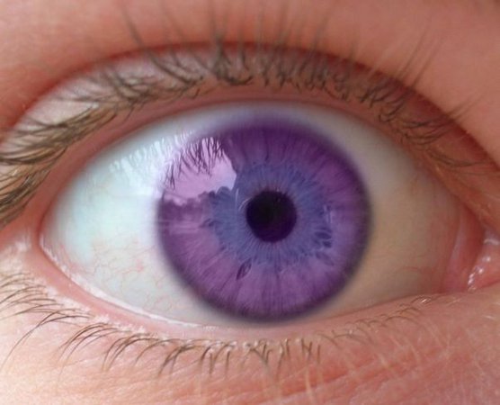 purple eyes - Google Search