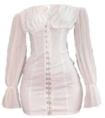 (www.shopchrisszoe.com) Victorian Flounce sleeve dress