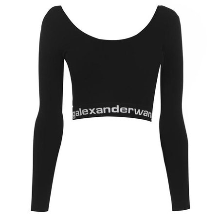 Alexander Wang | Logo Long Sleeve T Shirt | Flannels