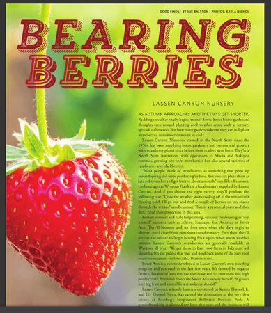 bearing-berries-enjpy-magazine-lassen-canyon-nursery-1.png (611×707)
