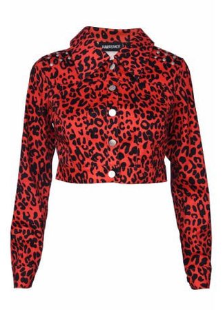Jawbreaker Red Leopard Print Jacket | Attitude Clothing