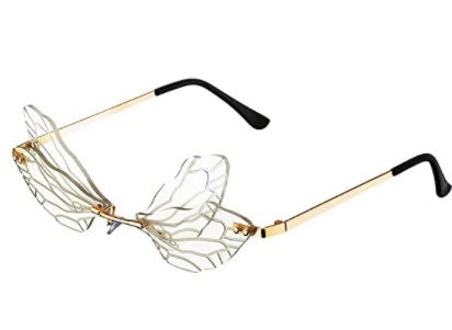 Dragonfly Glasses