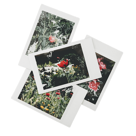 flower polaroids